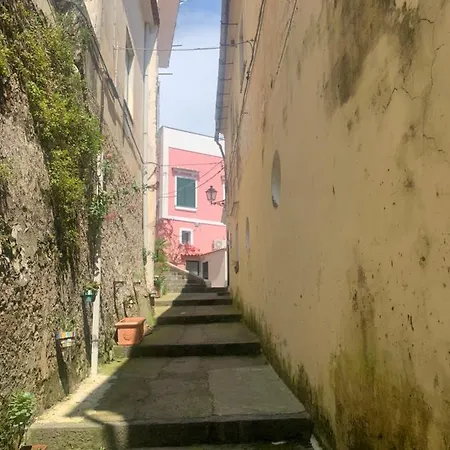 Pippo's House *